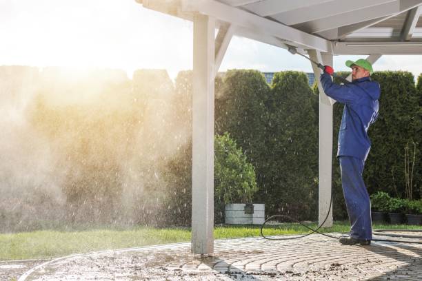 Best Soft Washing for Delicate Surfaces in Runge, TX